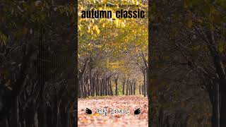 asmr / 힐링time / 【Play List】 M.T Oasis ㆍAutumnㆍEmotion / 가을ㆍ감성 MUSIC / 마음의 안정을 찾는 1시간 / 백색소음 /멘탈 오아시스