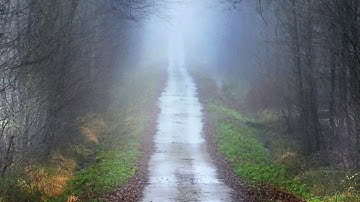 [رُّبَمَا يَوَدُّ ٱلَّذِينَ كَفَرُواْ لَوْ كَانُواْ مُسْلِمِينَ] سورة الحجر