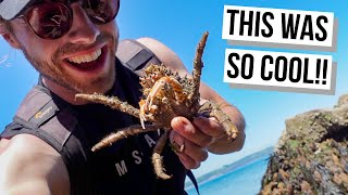Coastal Foraging in Pembrokeshire Wales | Catching and Cooking Our Seafood Haul! screenshot 2