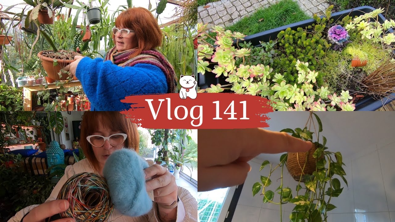 VLOG 141🌿Un Pothos tombe | Question sur le CEROPEGIA WOODII | Comment vont les Carpes Koï | Tricot