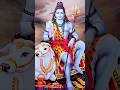 #shiva #love #shivmandirakhadakarala #shiv #viral #trending #shorts
