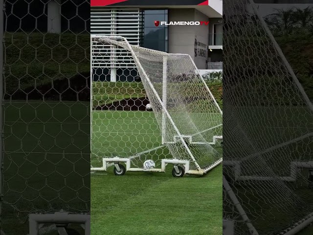 👀🤯 Que isso! Pet aprovaria, certeza!