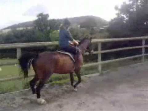 Lana Hughes & Titus, Jumping up to 152cm (5ft) Sum...