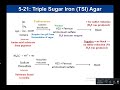 Lab 5-21: TSI Test