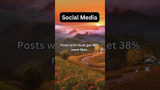 email Marketing SEO and Instagram among other digital marketing areas