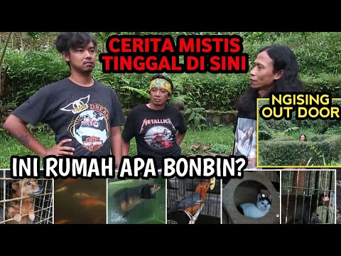 Review Rumah Hutan Dodit Mulyanto Dan Hewan Peliharaannya Serta Pengalaman Mistis Tinggal Disana