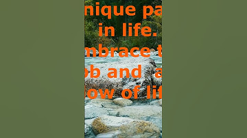 Going with the Flow: Life Lessons from a River #shorts