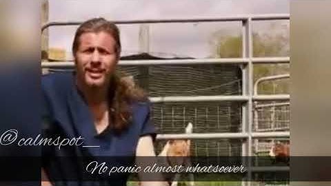 The total submission of the goat - bakrid special videos