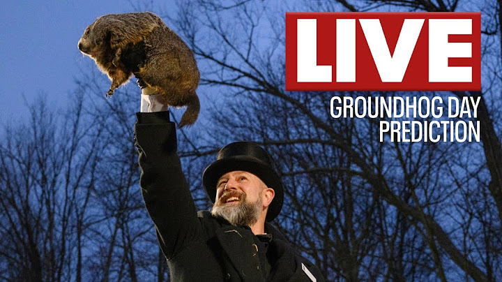 🔴Groundhog Day 2025 live: Punxsutawney Phil's prediction and more
