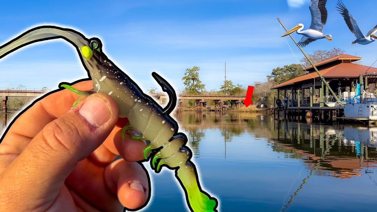 Fishing with the Worlds LARGEST Shrimp Lure I Can't BELIEVE This Worked!!