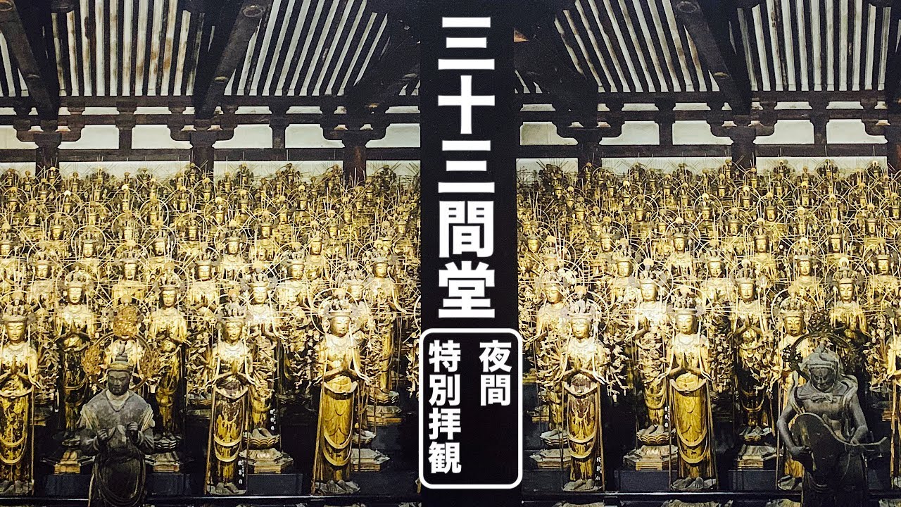 【国宝】三十三間堂　夜間特別拝観✨