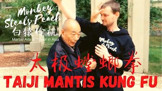What is Taiji Mantis Kung Fu?