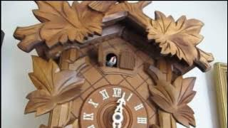 23 cuckoo bird calls in 50 seconds - Cuckoo Clock 'Coo Coo