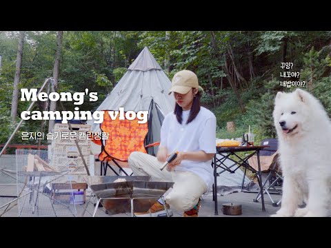 [V-log] 댕댕이들(?)의 '첫' 캠핑 도전기 🏕