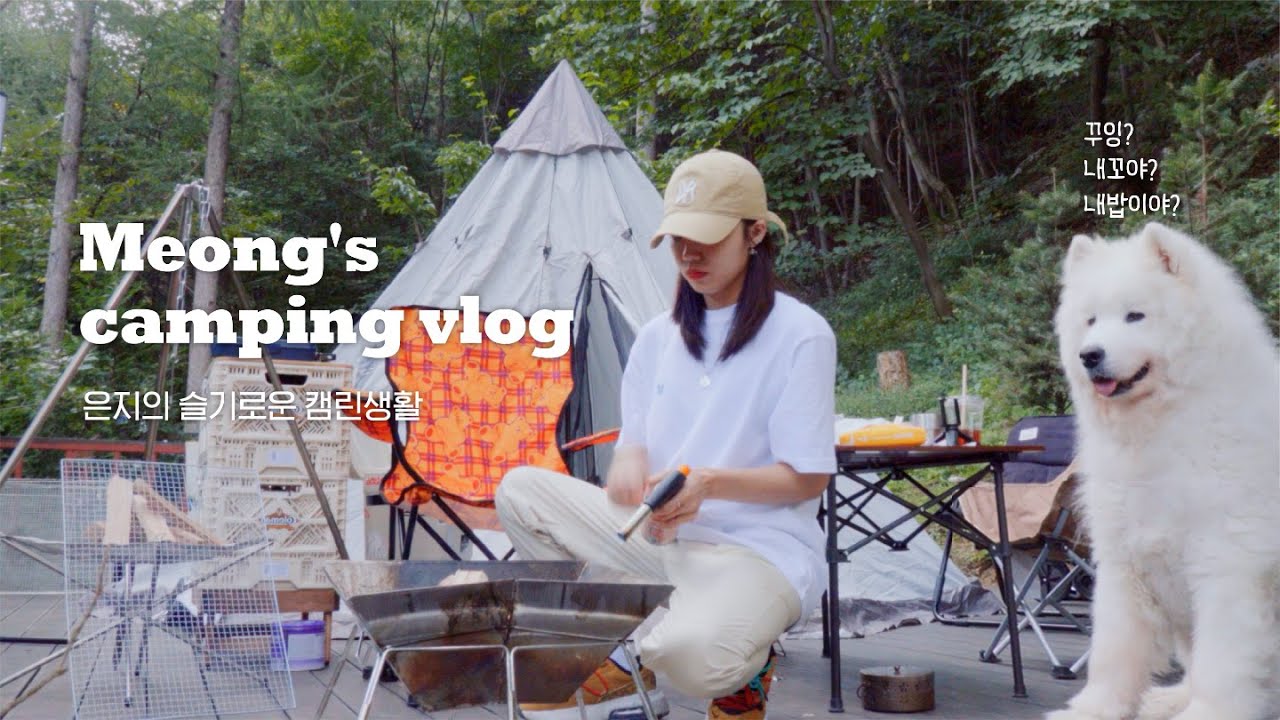 [V-log] 댕댕이들(?)의 '첫' 캠핑 도전기 🏕