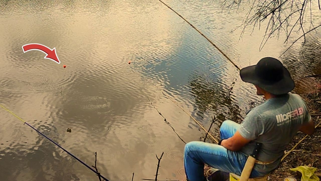 Olhem a ninhada de CARÁS que eu peguei hoje.