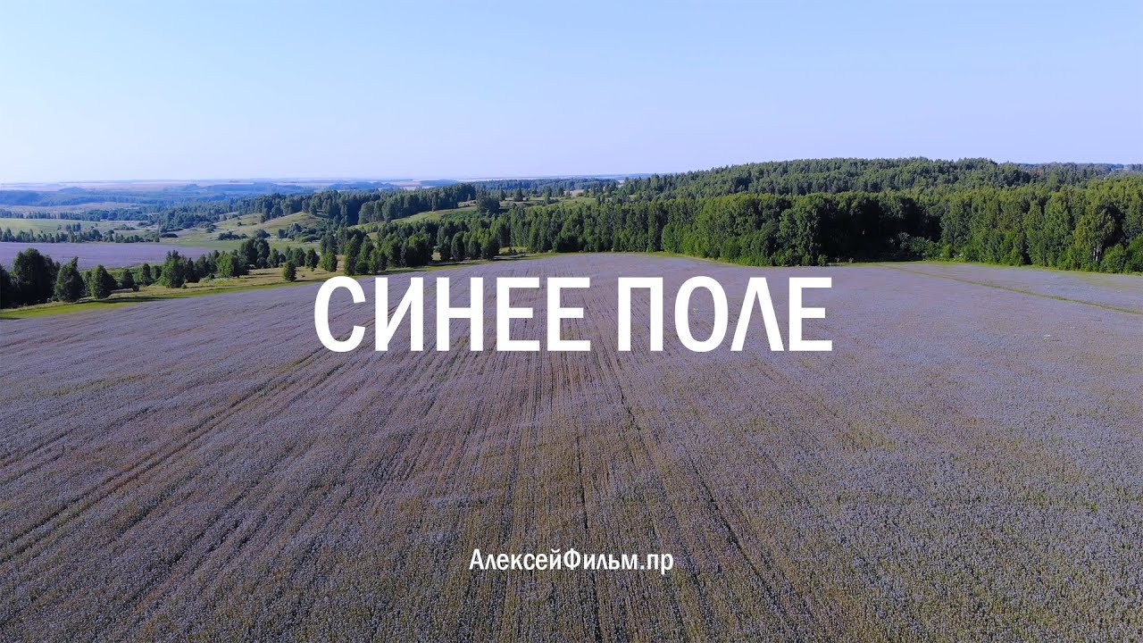 Синее поле золотом усыпано