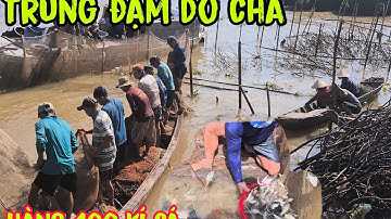 Trúng Đậm Dở Chà Ven Sông ,hàng trăm kí Cá Tôm Ngươi Dân vui mừng