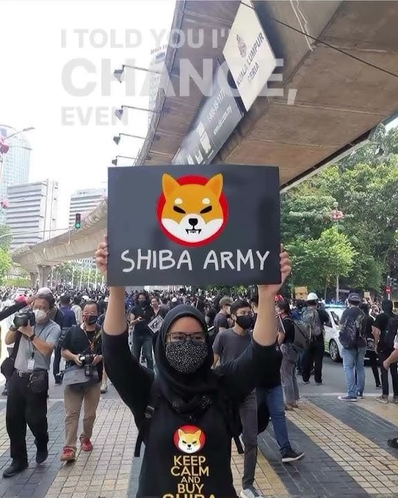 SHIBA ARMY status wa