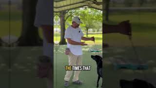 From Luring to Leadership | Dog Training That Builds Obedience and Trust