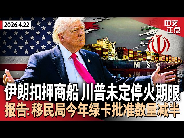 播放