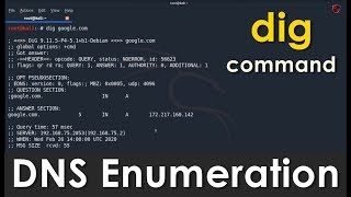 [HINDI] DNS Enumeration with dig command | PRACTICAL GUIDE