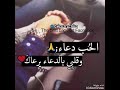 مادام كلبي يدك حسام الرسام