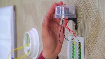 Relé Fotocélula Corujito (Liga a noite/Desliga de dia) Bivolt