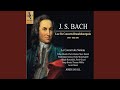 Miniature de la vidéo de la chanson Brandenburg Concerto No. 1 In F Major, Bwv 1046: Ii. Adagio