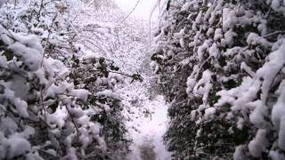 SONY A33 HD TEST SNOW 2010