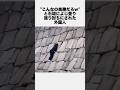 外国人が大阪城の石垣を登り…　#炎上 #迷惑 #トラブル #雑学 #shorts