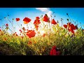 Beautiful Piano Music - Relaxing Music, Study Music, Stress Relief, Sleep Music (Justin)