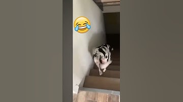 Những tình huống dở khóc dở cười