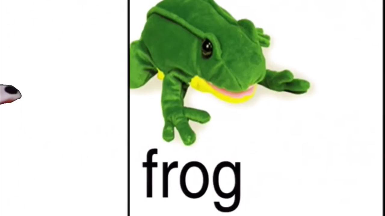 Baby Dolittle animals flash cards (Webster version) YouTube