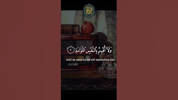❤️  تلاوة جميلة ارح سمعك بها #سيد_سعيد #قرآن #قرآن_كريم #quran #تلاوة_خاشعة #القرآن_الكريم #تلاوات