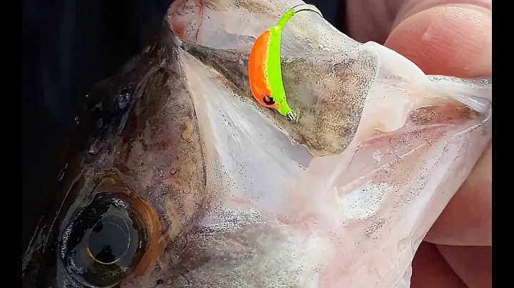Ice Fishing Rods
