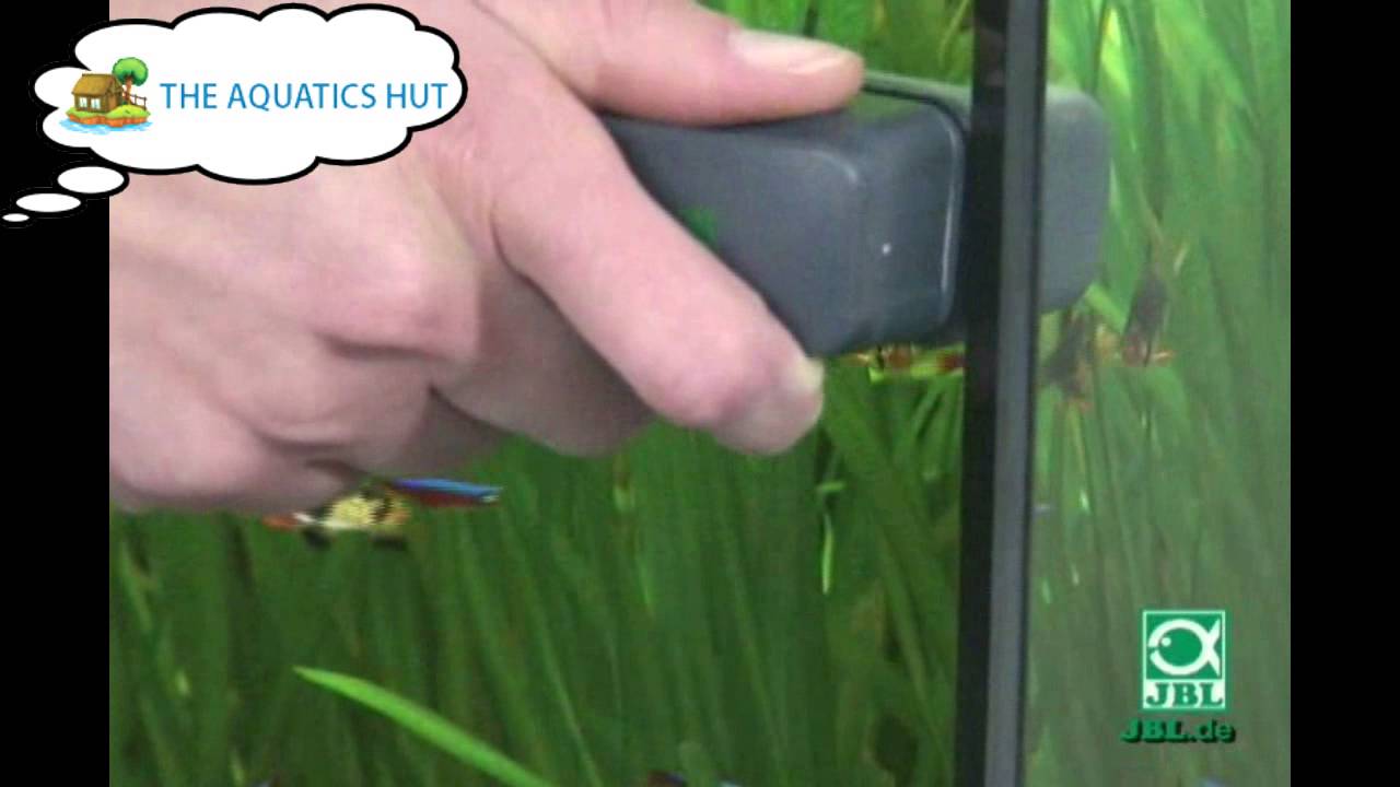 JBL Floaty - Aquarium Glass Cleaner Algae Magnet (Small, Medium