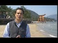 Hiroshima's Miyajima Island Stroll w/ Extra Deer