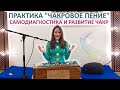 ПРАКТИКА &quot;ЧАКРОВОЕ ПЕНИЕ&quot;. САМОДИАГНОСТИКА И РАЗВИТИЕ