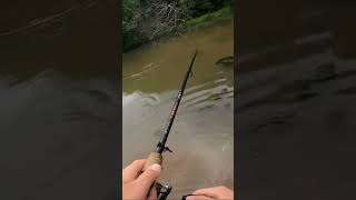 Nice fish on the DROPSHOT 🎉💥🔥👀💯 #fishing #reccomended #reels #viral #dropshot #famous