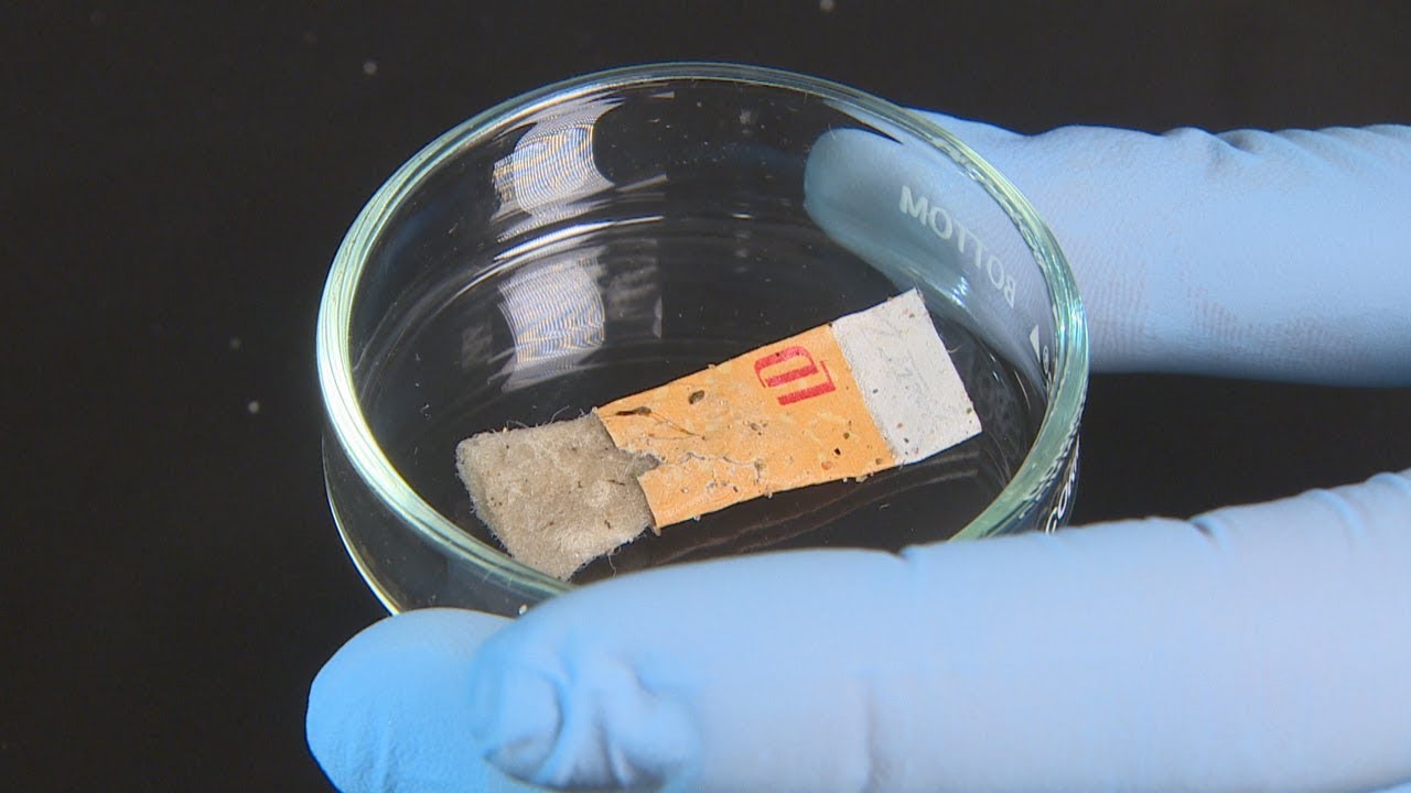 Think before you flick — cigarette butts aren't biodegradable