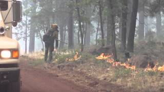 Jeremy Human - Treatments and the Benefits for Suppression
Jeremy Human describes how stewardship and habitat treatments mitigated fire behavior on the San Juan Fire and helped with suppression and management actions. Jeremy Human - Treatments and the Benefits for Suppression