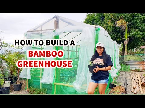 Video: Do-it-yourself greenhouse mula sa mga improvised na materyales. DIY mini-greenhouses