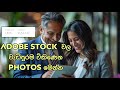 Adobe stock    photo categories  macrobuddy adobestock