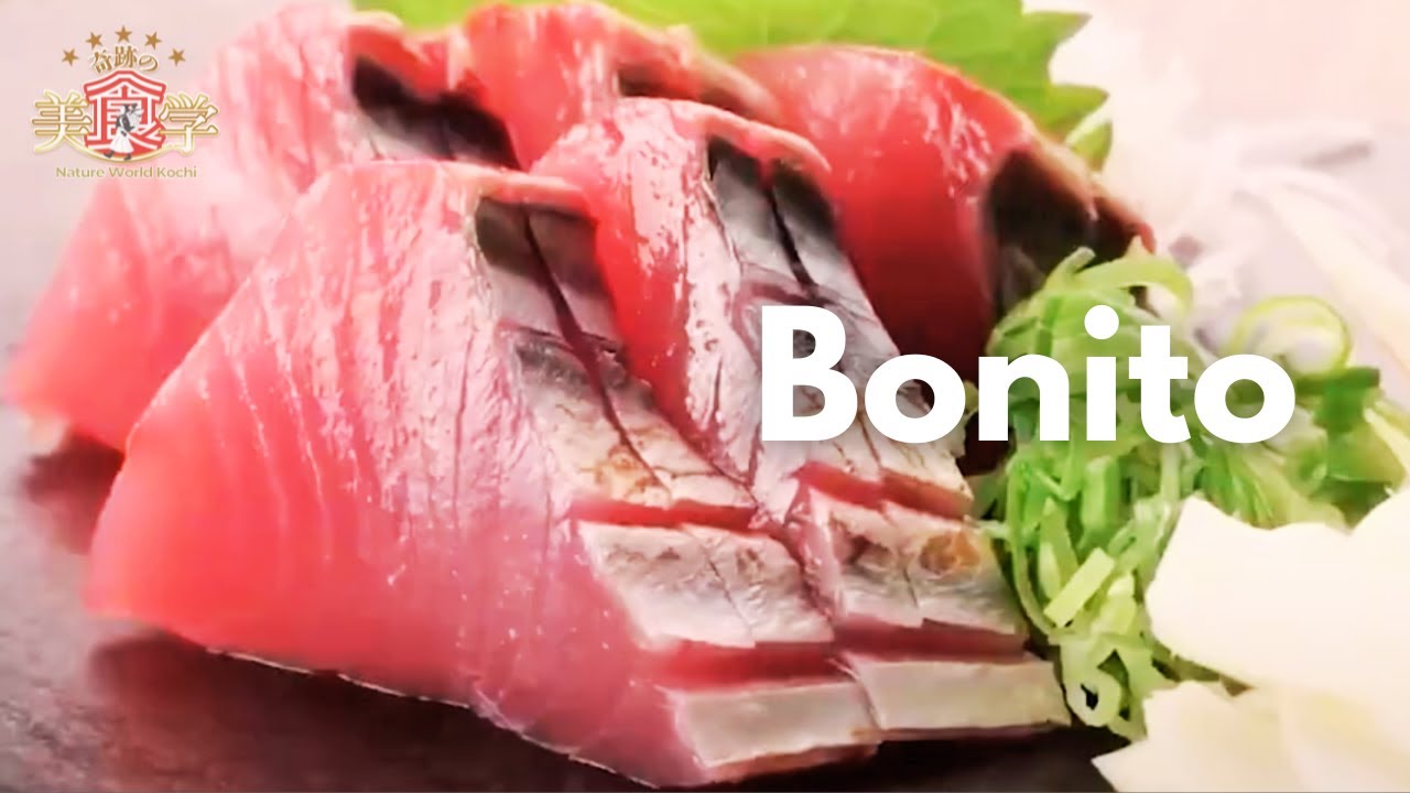 Why Bonito is the Soul of Kochi: Japan’s Most Beloved Fish | The ...
