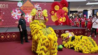 LION DANCING FEB 03 2024 CNY FESTIVITIES AT DATARAN PAHLAWAN MEGAMALL MELAKA MALAYSIA (3)