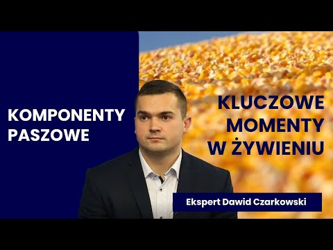 Wideo: Systemy Visa i Mastercard w Rosji. Opis systemów płatności Visa i Mastercard