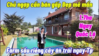 NGỢP CHỦ CẦN BÁN GẤP  farm tâm huyết ngay thành phố mặt đường quốc lộ 28 vào là mê