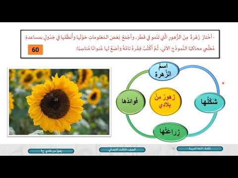الصف الثالث اللغة العربية زهور من بلادي ج1