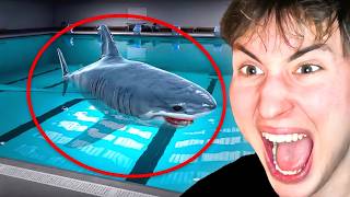 Segítség, Egy Cápa Van A Medencében!🦈 - Sharks and Minnows